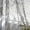 Grey, variant on TIELUTT Sheer Curtain Window Voile Drape 1 Panel Fabric Smart Sheer Insulating Curtain Curtains Small Windows 50 Curtains Length Showroom Curtains Curtains Temporary for Bedroom