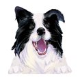 thumbnail image 2 of Dvkptbk Car Decoration Stickers Window Decoration Waterproof Stickers Car Scratch Stickers, 2 of 6