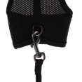 thumbnail image 3 of DOLITY Furet Small Breathable Leash Set Leash Set Walking Collar Chest Harness Black M, 3 of 3