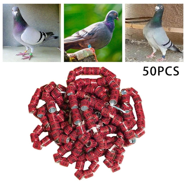 VONKY 50x 2023 Pigeon Leg Rings Bird Foot Bands for Bantam Finch Canary Brown