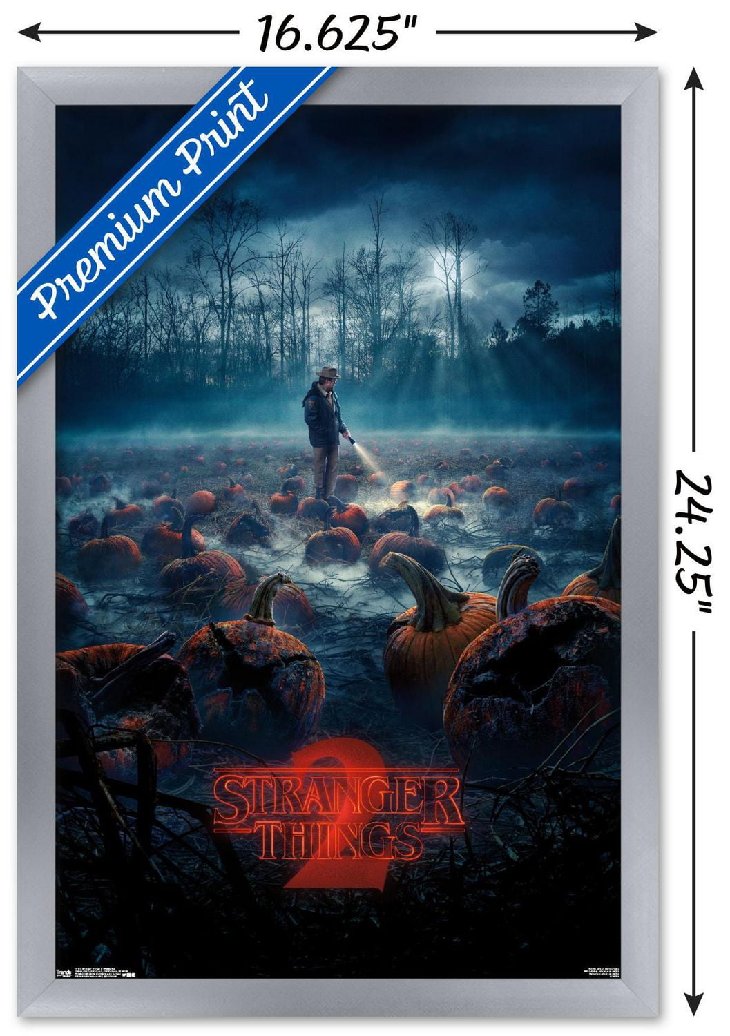 Netflix Stranger Things : Saison 2