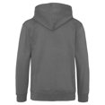thumbnail image 2 of Awdis Chandail à Capuchon Varsity pour Hommes / Chandail à Capuchon / Zoodie, 2 of 2