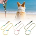 thumbnail image 4 of TIELUTT Durable Dog Leash for Small Medium Dogs Reflective Nylon Pet Outdoor Walking Training Adjustable Dog Bungee Leash Stroller Leash for Wrist Cat Leash Stretchy Tan Leash Training Line for Dogs, 4 of 4