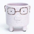 thumbnail image 1 of Porc Rose à Pieds Portant des Lunettes Planteur, 1 of 1