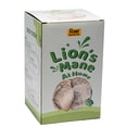 thumbnail image 4 of Lion's Mane Grow Kit (one kit), 3.2 Pound Log, 4 of 4