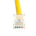 thumbnail image 4 of CableWholesale.com - Patch cable - RJ-45 (M) to RJ-45 (M) - 1 ft - UTP - CAT 5e - stranded - yellow, 4 of 5