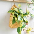 thumbnail image 4 of Hand-Woven Rattan Wall Mounted Organizer and Decorative Planter Vase for Stylish Home Storage Solutions, 4 of 4