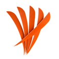 thumbnail image 3 of ZheElen 12pcs 3inch Archery Turkey Feathers Fletchings Vanes Orange 3 Inch 1Set, 3 of 6