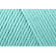 thumbnail image 4 of Bulk Buy: Caron Simply Soft Yarn Solids (2-Pack) (Robin's Egg), 4 of 4