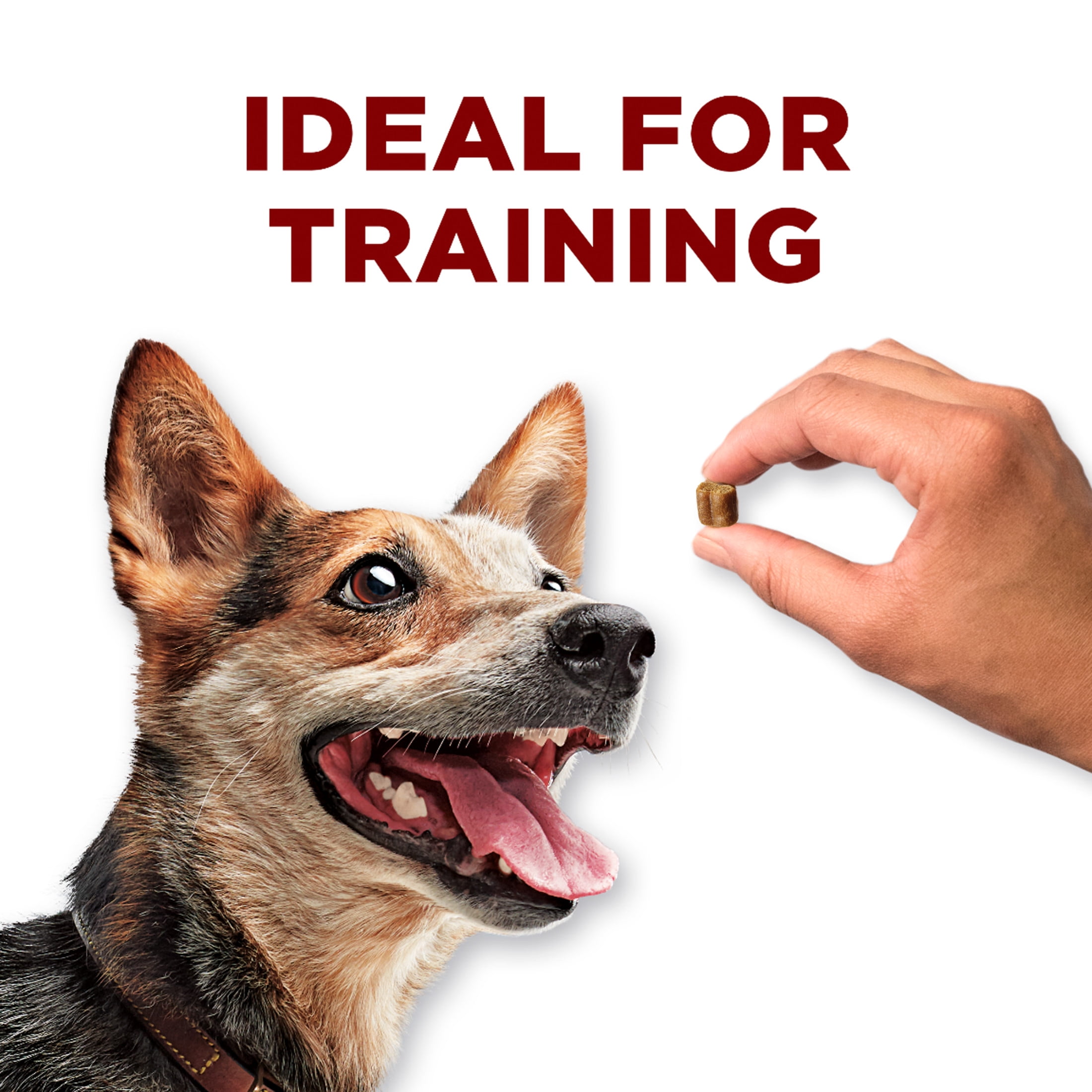 Purina ONE Véritable Instinct Bouchées avec Saumon Gâteries d'entraînement pour Chiens