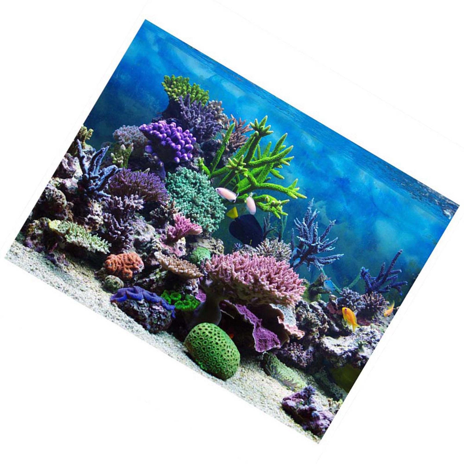 Aquarium Background, Fish Tank Background Double Sides Fish Tank for Fish Tank Decorations Multiple Sizes