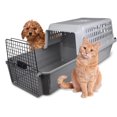 thumbnail image 1 of Van Ness Calm Carrier with Easy Drawer, 1 of 1