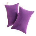 thumbnail image 2 of Harpily 2 Pack Microfiber Soft Tiny Pillows Machine Washable Travel Pillows 11 X 7 Red, 2 of 4