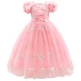 thumbnail image 3 of HAWEE Robe de Princesse Rose pour Fille Raiponce Cosplay Halloween Costume Manches Bouffantes Robes à Étages, 3 of 3