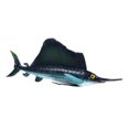 thumbnail image 1 of QualitChoice Simulation Shark Toy Gift For Enthusiasts Shark Marine Animal Models Simulation Toys sailfish, 1 of 6