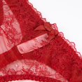 thumbnail image 2 of Sous-vêtements pour Femmes en Maille Transparente Lingerie Broderie Soutien-Gorge et String et Bas, 2 of 5