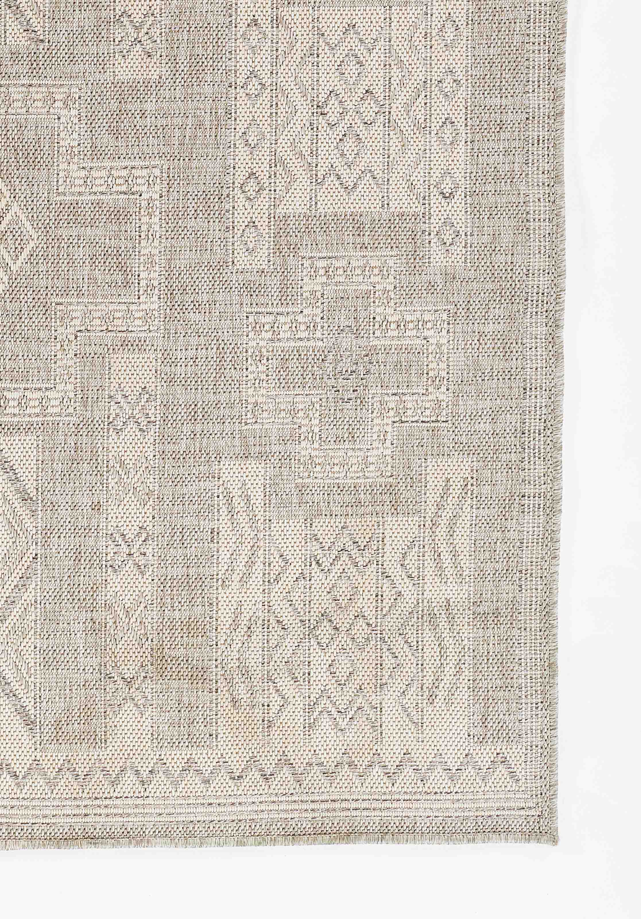 ECARPET Nyra Transitional Area Rug for Living Room, Bedroom, Dining Entrance, Hallway and More.