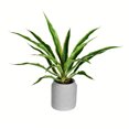thumbnail image 1 of Vickerman Plante de Yucca en Pot de 23 Pouces - FU191223, 1 of 2