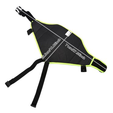 Padded Protection Hip, Extreme Sports Butt Pad  Hip Protective Padded Shorts Pants For Children Ski Snow Boarding Skate