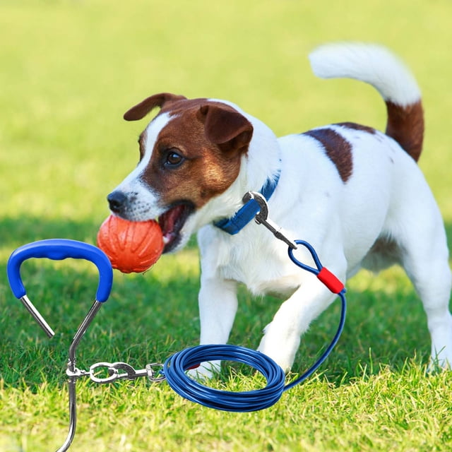 Heavy Duty Metal Dog Tie Out Stake Kit Secure Outdoor Pet Training Tether for Small and Medium