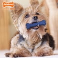 thumbnail image 4 of Nylabone Small Dog Toy Value Pack, 4 of 6