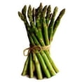 thumbnail image 3 of 100 Graines Vivaces d'Asperge Officinale MARY WASHINGTON Asperagus Officinalis, 3 of 4