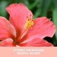 thumbnail image 2 of Hawaiian Tropic ®Aloha Glow™ Self-Tanning Milk Every Day Gradual Tan, 2 of 6