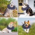 thumbnail image 3 of Collier de Récupération pour Animaux de Compagnie Doux pour Chiens Chats Protection 360° Matériau en Nylon Sangle Réglable Adapté aux Races pour Pugs Français pour Éviter de Lécher les Plaies, 3 of 3