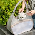 thumbnail image 5 of RKSTN Nylon Mesh Cat pocket Transparent Nylon Mesh Cats Bag Portable Pet Bag Foldable Handheld Cats Bag, 5 of 5