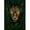 SKU-01, variant on Leopard Frog Bird Sloth Poster Wall Art Picture Abstract Wild Animal Canvas Painting And Print for Modern Living Room Home Decor50 x 70 cm (without frame),SKU-14