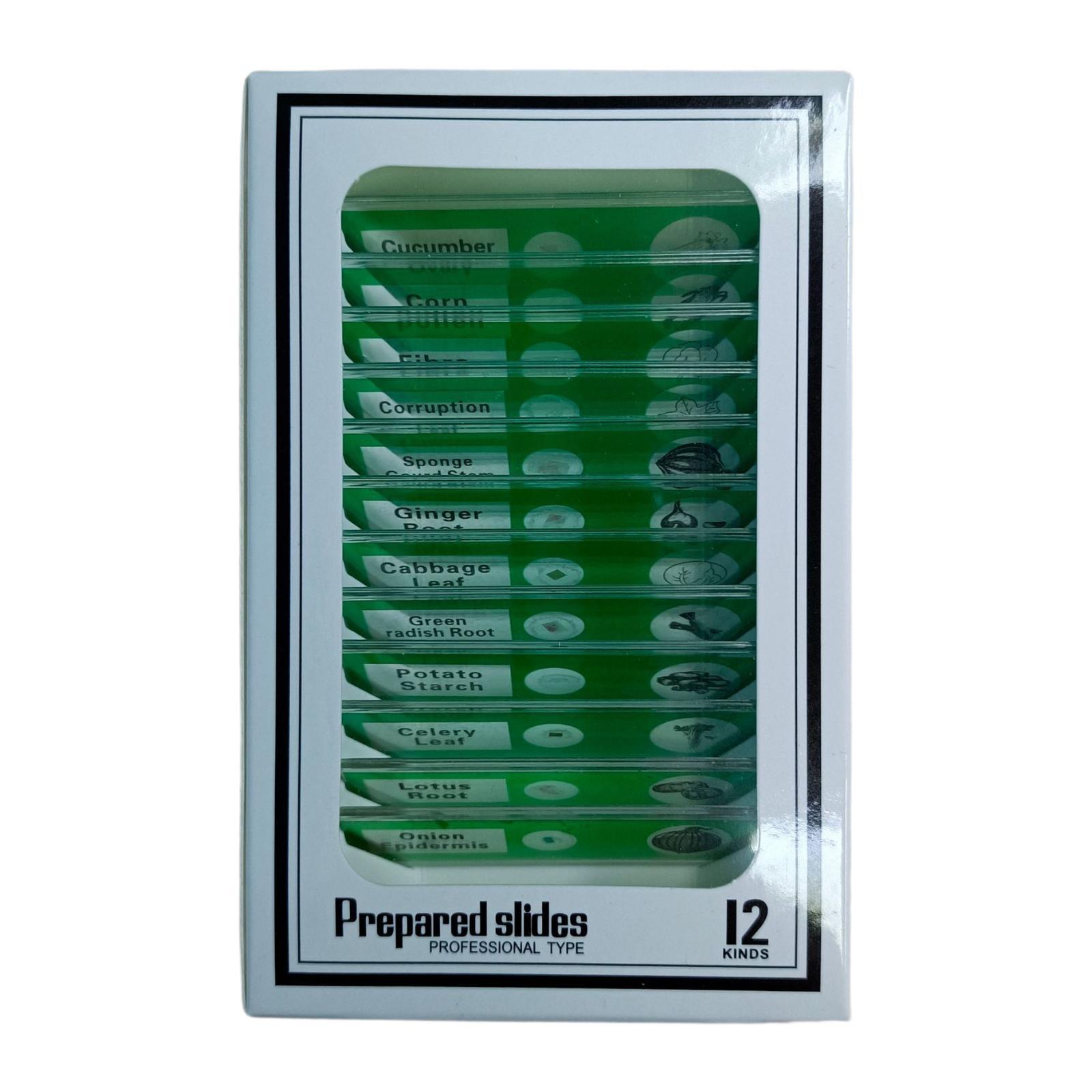 lionlar 12 Pieces Prepared Microscope Slides Educational for Children Home Classroom green