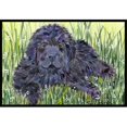 thumbnail image 1 of Carolines Treasures SS8872JMAT 24 x 36 in. Newfoundland Doormat, 1 of 4