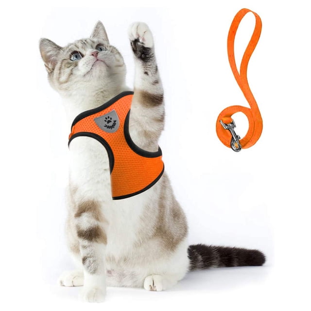 TIMIFIS Cat Harness Cat Harnesse And Leash Adjustable Soft Mesh Vest with Reflective Strap Metal. The image shows a white and grey cat wearing an orange soft mesh vest-style harness with black trim and a reflective paw emblem on the chest. The harness is paired with an orange leash featuring a sturdy metal clip. Designed for comfort and safety, the harness evenly distributes pressure to prevent choking and includes adjustable straps for a snug fit. Suitable for walking, jogging, or hiking with your cat.