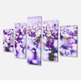 thumbnail image 2 of Daisy Field Photography Panorama - Floral Canvas Art Print, 2 of 3