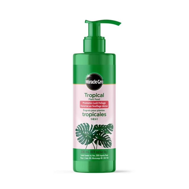Miracle-Gro Tropical Plant Food 236mL pump bottle with green dispenser and label featuring tropical leaves, formulated with a 1-0.5-1 nutrient ratio to promote lush foliage and nourish tropical houseplants, ideal for weekly watering and garden fertilizer use.