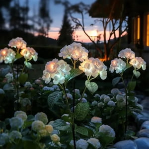 Fée Hydrangea Lumières, 3 Pack lumières de jardin solaire en extérieur, IP65 Imperméable Couleur LED Lumière de fleurs, 15H Temps d'éclairage, Patio Yard Décor (Blanc)