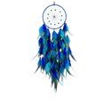 thumbnail image 2 of Meitianfacai Économies d'Hiver Liquidation Offres Attrape-Rêves Cadeau de Guérison Attrape-Rêves Tissé Décoration Intérieure Pendentif, 2 of 6