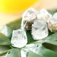 View all media