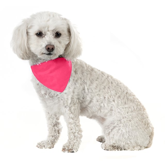 3 Pack Solid Cotton Dog Bandana Triangle Bibs - Small & Medium Pets (Hot Pink)