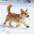 thumbnail image 3 of Breathable Reflective Protective Dog Shoes Boots For Small Medium Sized Outdoor Activities Hot Pavement Rain Walking 4PCS, 3 of 5