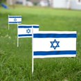 thumbnail image 3 of Anley Israel Mini Flag 12 Pack - Hand Held Small Miniature Israeli Flags on Stick - 5x8 Inch with Solid Pole & Spear Top, 3 of 6