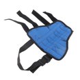 thumbnail image 4 of Dog Rear Leg Hock Brace, Stable Dog Hind Leg Support Brace Neoprene with Safety Reflective Tape for Injury Recovery XXS,XS,S,M,L, 4 of 7
