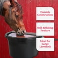 thumbnail image 3 of Little Giant FW16MTLBLACK Automatic Livestock Waterer with Metal Cover, 3 of 10