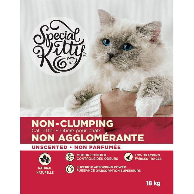 Special Kitty Non-Clumping Litter 18kg packaging showing a fluffy grey and white cat with blue eyes held by a person in a white sweater. The label highlights natural, unscented cat litter with odour control, superior absorption, and low tracking to maintain a fresh, dry litter box.