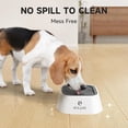 thumbnail image 4 of Els Pet Bol Flottant 1L, 4 of 5