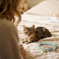thumbnail image 4 of Pet Collars Cat Collar Breakaway And Pendant Adjustable Collars For Small Cats Party Collar Neck Ring, 4 of 4