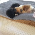thumbnail image 2 of Pet Blanket Thickened Warm Cat Quilt Dog Cushion, 2 of 7