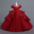 thumbnail image 2 of LOVZFMLL Girls' Summer Short Sleeve Ruffled Lace Round-Neck Embroidery Mesh Princess Bow Skirt, 2 of 2