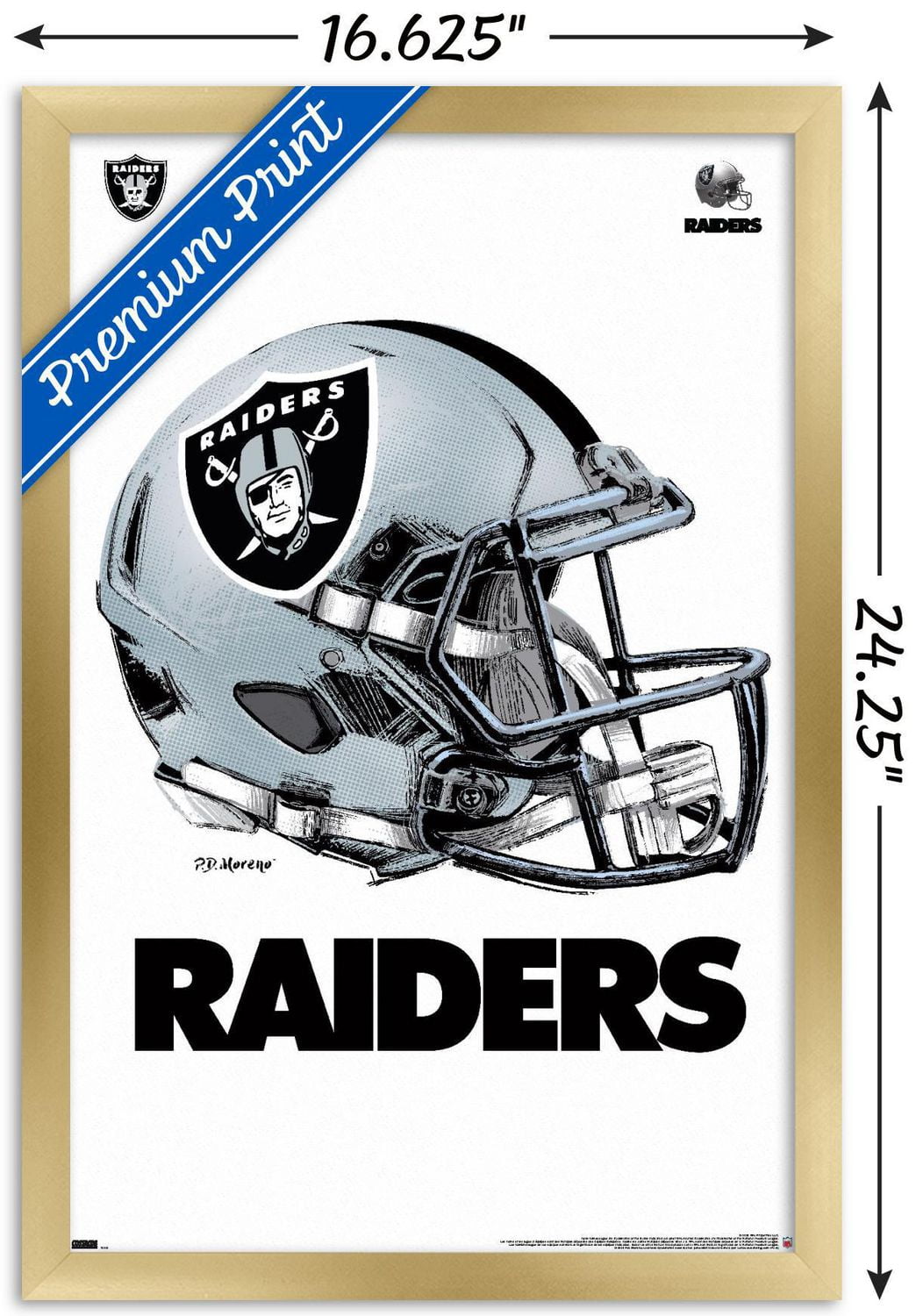 NFL Las Vegas Raiders