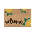 thumbnail image 1 of Décor d'Entrée Extérieur Amusant, Tapis de Porte d'Entrée d'Été, Tapis de Sol Durables pour Entrée Extérieure, Entrée Ou Arrière, Sol d'Entrée, 1 of 4